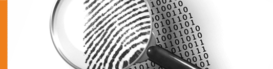ADQUISICIÓN, ANÁLISIS Y PRESENTACIÓN DE EVIDENCIAS DIGITALES