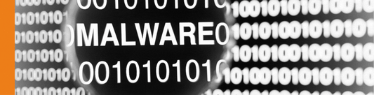 EXPERTO EN MALWARE