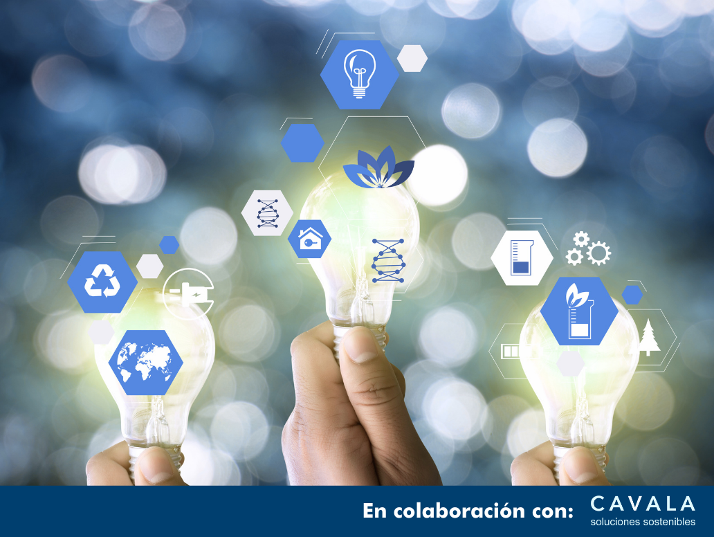 CURSO NEIS 1 ONLINE: DOMINA LOS REQUSITOS GENERALES Y LA CSRD EN 2 HORAS