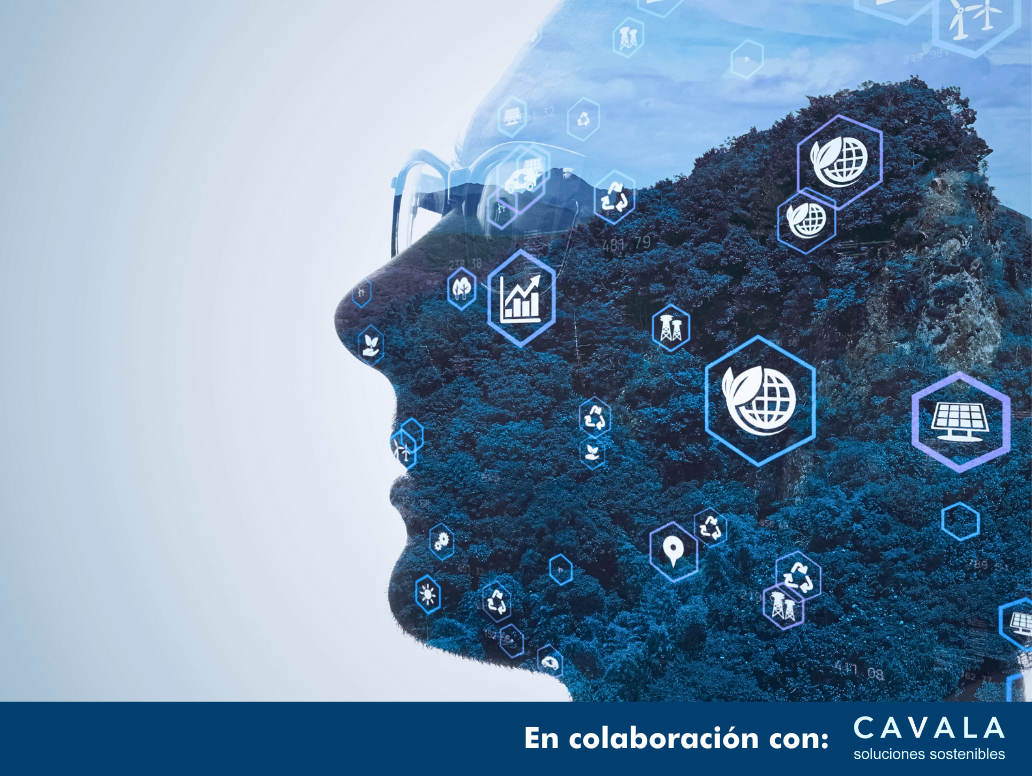 CURSO NEIS 2 ONLINE: INFORMACIÓN GENERAL Y DIVULGACIÓN SOSTENIBLE EN 2 HORAS
