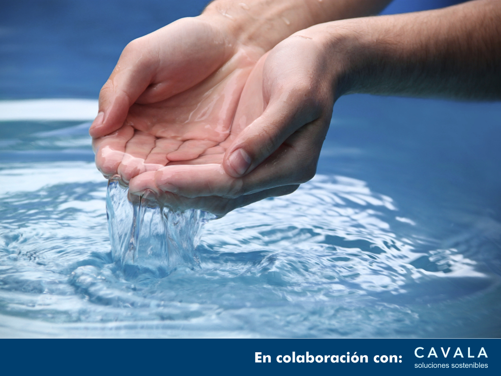 CURSO ONLINE NEIS E3: RECURSOS HÍDRICOS Y MARINOS EN 5 HORAS