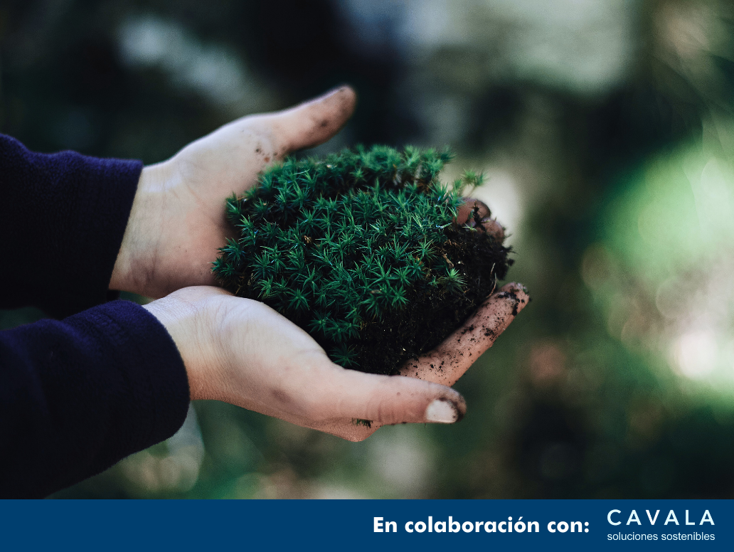 CURSO ONLINE NEIS E4: BIODIVERSIDAD Y ECOSISTEMAS EN 5 HORAS