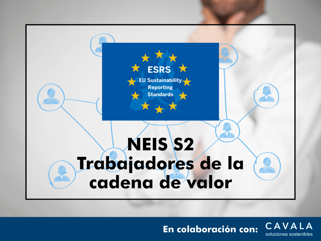 CURSO ONLINE NEIS S2: TRABAJADORES DE LA CADENA DE VALOR EN 5 HORAS