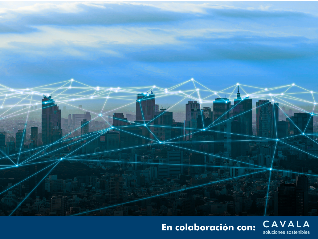 CURSO ONLINE NEIS S3: COLECTIVOS AFECTADOS EN 3 HORAS