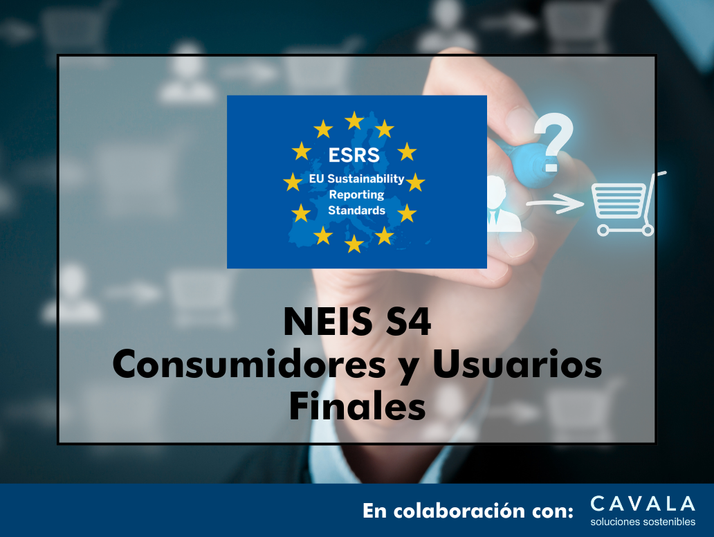 CURSO ONLINE NEIS S4: CONSUMIDORES Y USUARIOS FINALES EN 5 HORAS