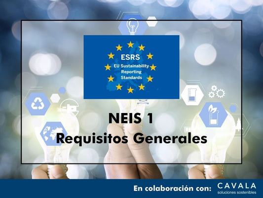 NEIS 1 REQUISITOS GENERALES ESRS