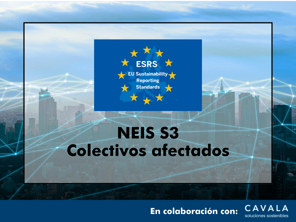 CURSO ONLINE NEIS S3: COLECTIVOS AFECTADOS EN 3 HORAS
