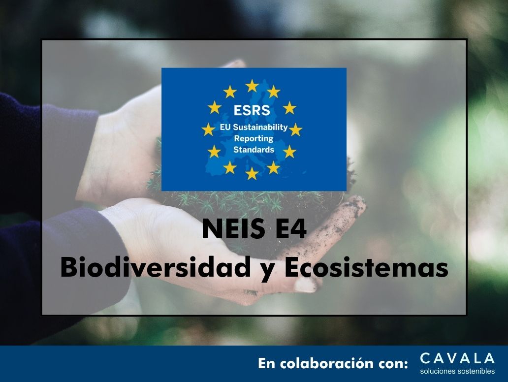 NEIS E4 BIODIVERSIDAD Y ECOSISTEMAS ESRS