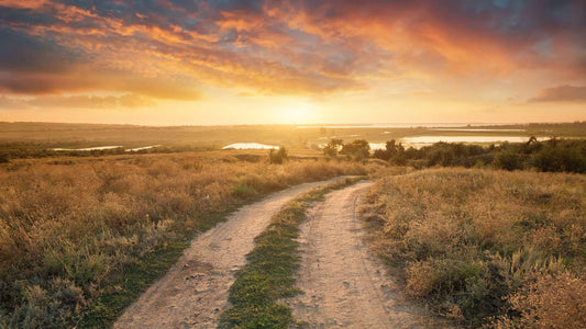 Emprendimiento rural en España: Innovación y futuro en el corazón del campo