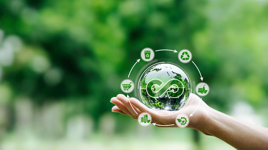 Economía Circular: Transformando el Consumo Responsable
