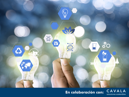 CURSO NEIS 1 ONLINE: DOMINA LOS REQUSITOS GENERALES Y LA CSRD EN 2 HORAS