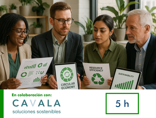 CURSO ONLINE NEIS E5: USO DE LOS RECURSOS Y ECONOMÍA CIRCULAR EN 5 HORAS