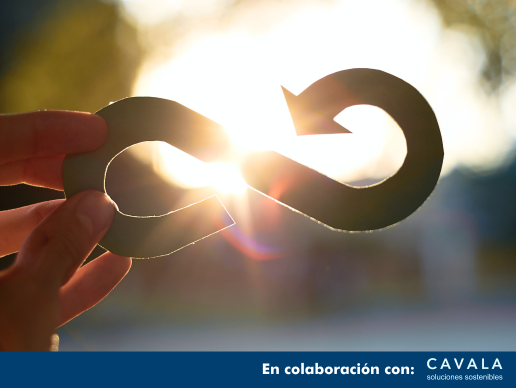 CURSO ONLINE NEIS E5: USO DE LOS RECURSOS Y ECONOMÍA CIRCULAR EN 5 HORAS