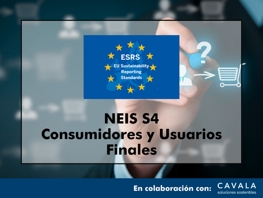 CURSO ONLINE NEIS S4: CONSUMIDORES Y USUARIOS FINALES EN 5 HORAS
