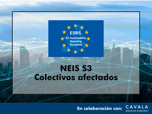 CURSO ONLINE NEIS S3: COLECTIVOS AFECTADOS EN 3 HORAS